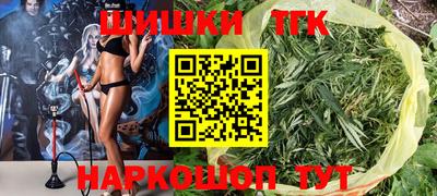 стафф Гай