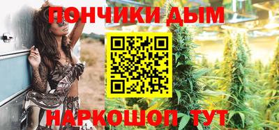 стафф Гай