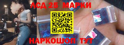 стафф Гай