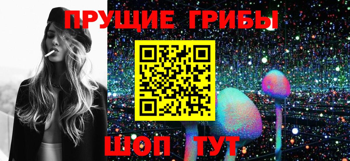Псилоцибиновые грибы Psilocybe Заринск