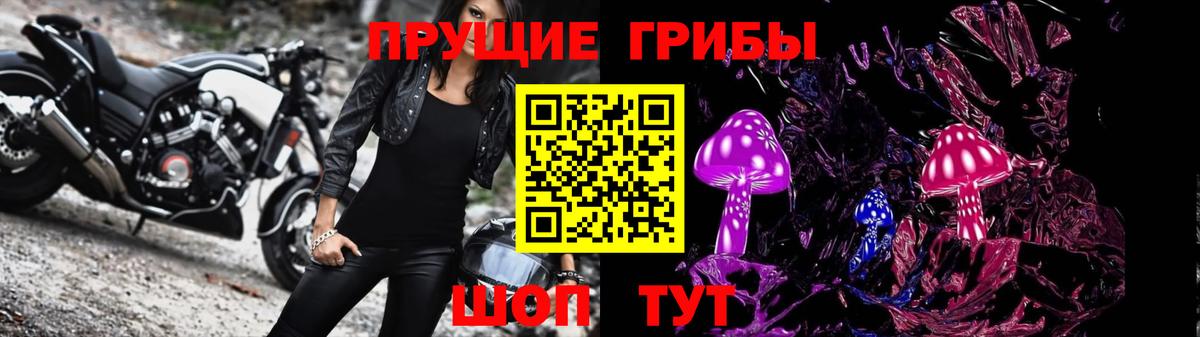Заринск  Псилоцибиновые грибы Psilocybine cubensis  Вход с VPN 